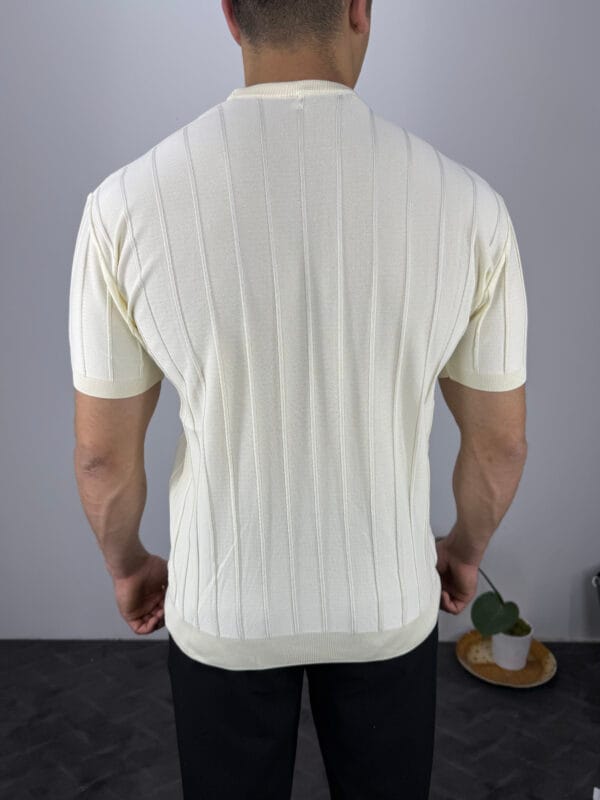 TM Bisiklet yaka Şerit Detaylı Triko Tshirt-Ekru - Görsel 3
