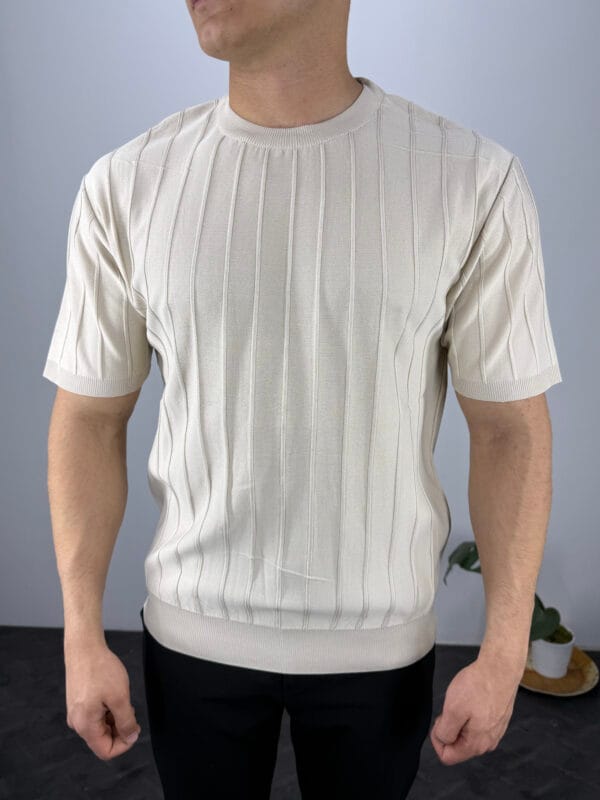 TM Bisiklet yaka Şerit Detaylı Triko Tshirt-Bej