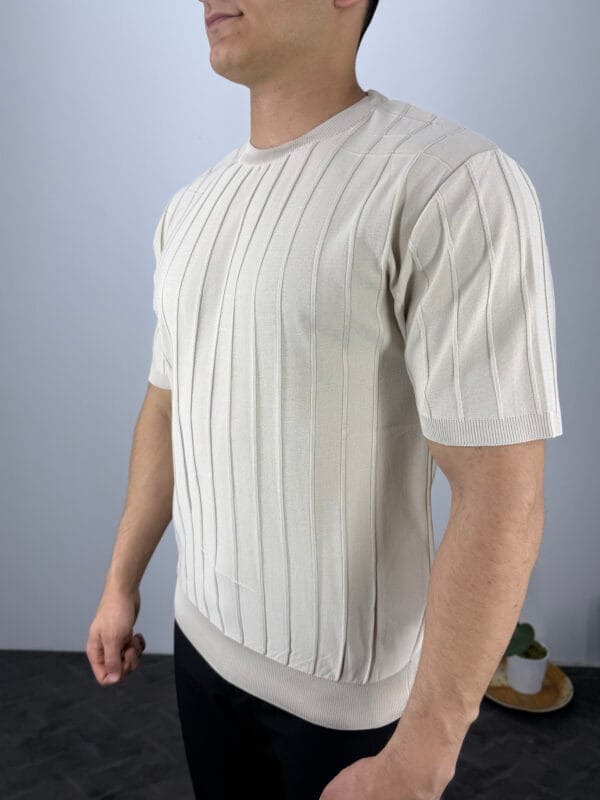 TM Bisiklet yaka Şerit Detaylı Triko Tshirt-Bej - Görsel 2
