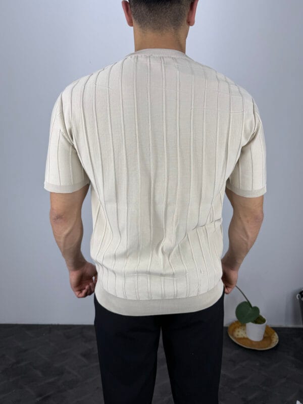 TM Bisiklet yaka Şerit Detaylı Triko Tshirt-Bej - Görsel 3