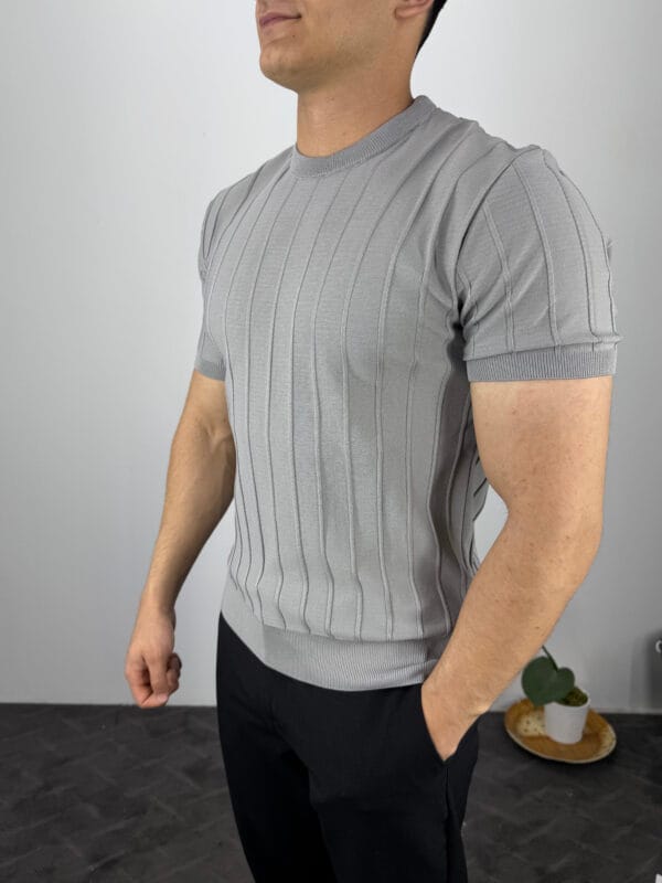 TM Bisiklet yaka Şerit Detaylı Triko Tshirt-Gri - Görsel 2