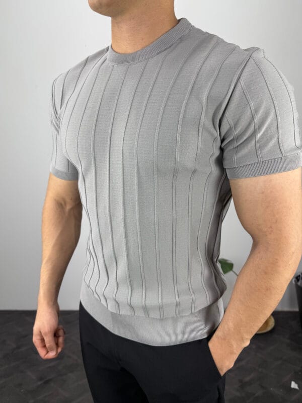 TM Bisiklet yaka Şerit Detaylı Triko Tshirt-Gri - Görsel 4